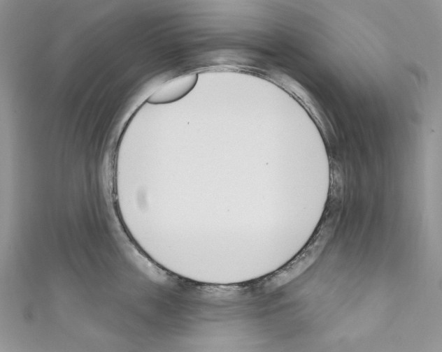 X0000110740859200907271100