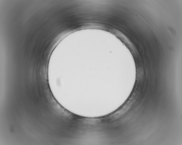 X0000110740860200907271100