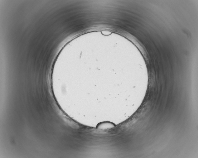X0000110740861200907271100