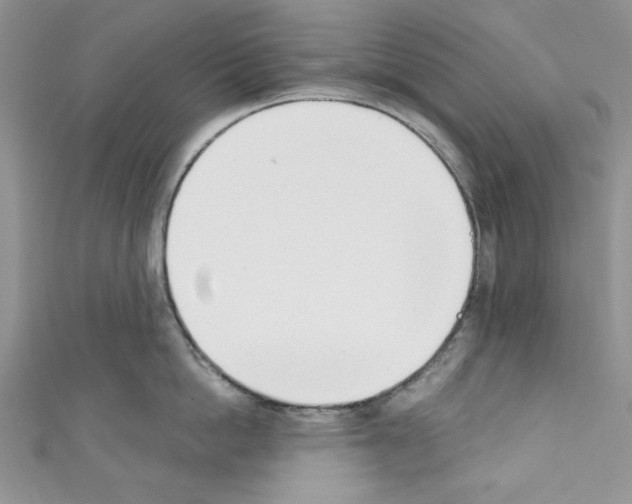 X0000110740862200907271100