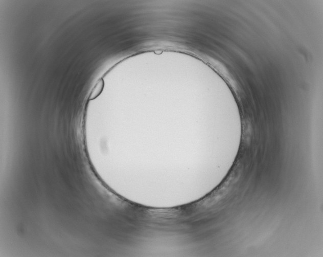 X0000110740863200907271100