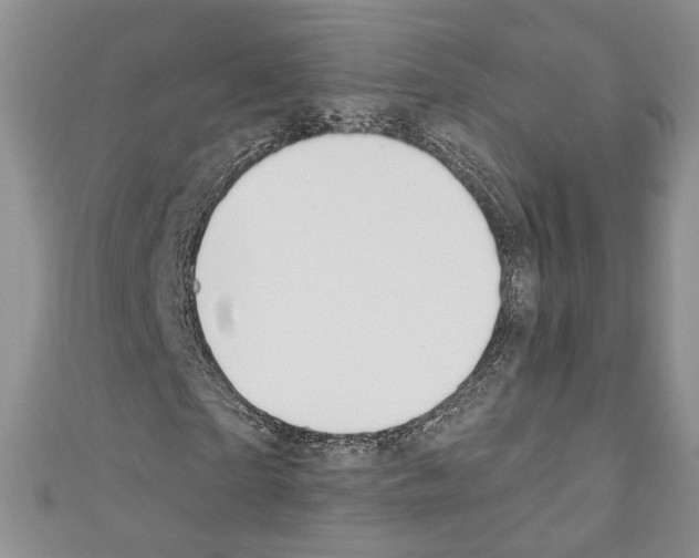 X0000110740865200907271059