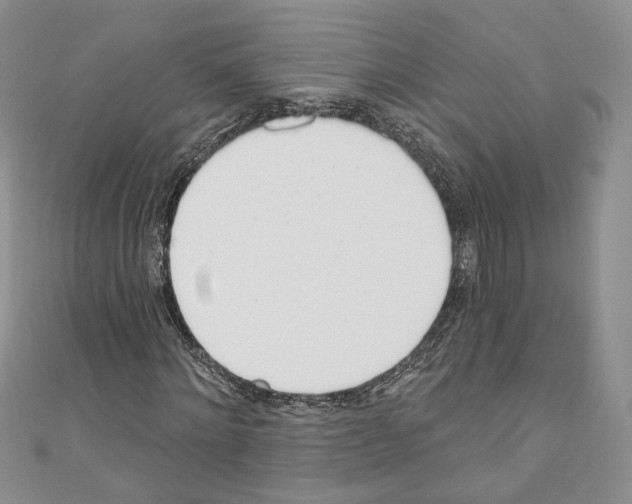 X0000110740868200907271059