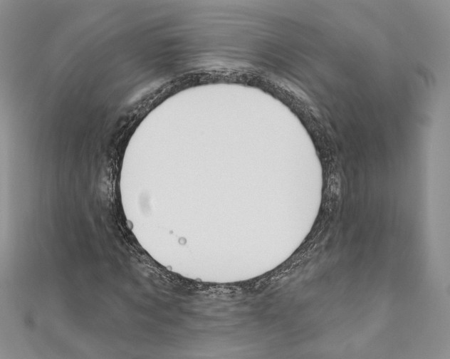 X0000110740869200907271059