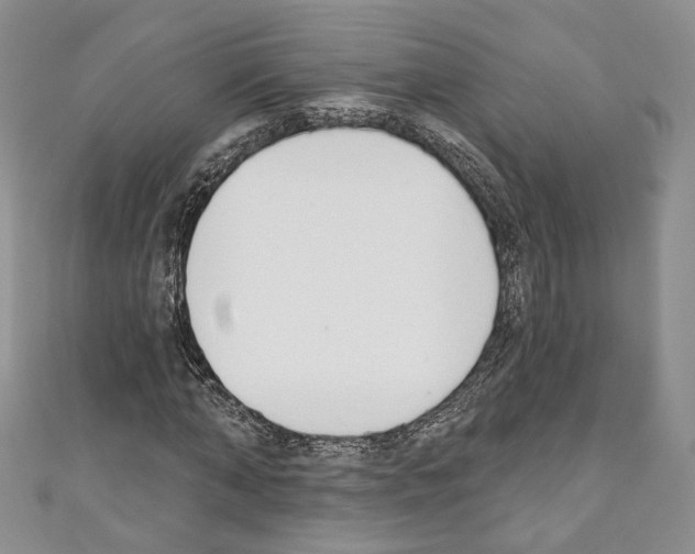X0000110740870200907271059