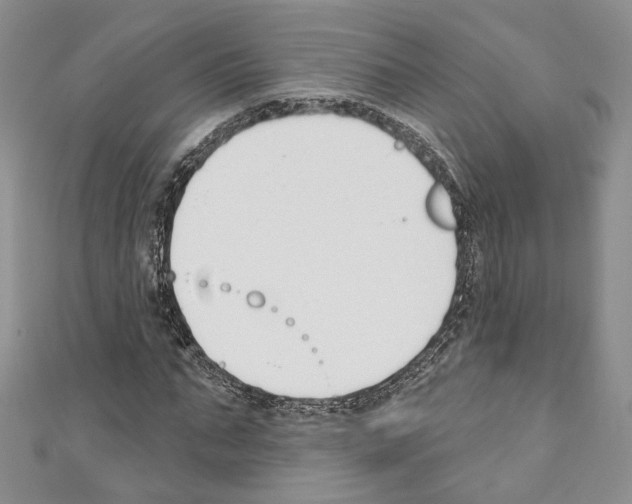 X0000110740871200907271059