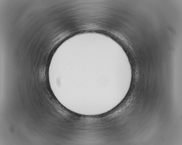 X0000110740873200907271059