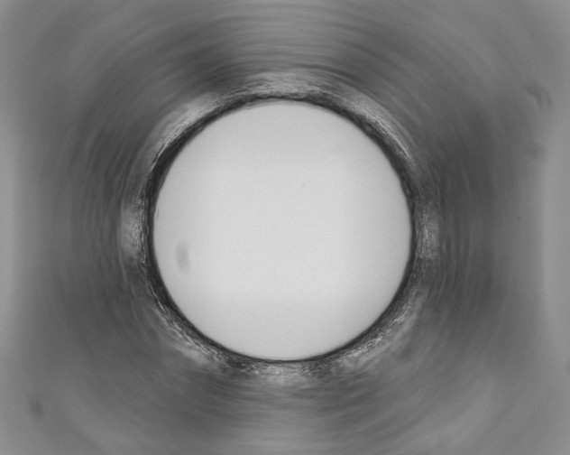X0000110740874200907271059