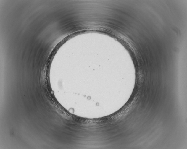X0000110740875200907271059