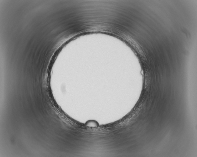 X0000110740876200907271059