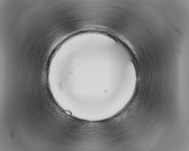 X0000110740877200907271059