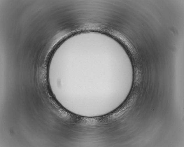 X0000110740878200907271059