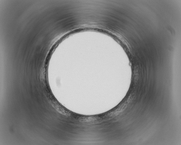 X0000110740879200907271059