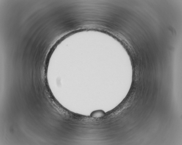 X0000110740880200907271059