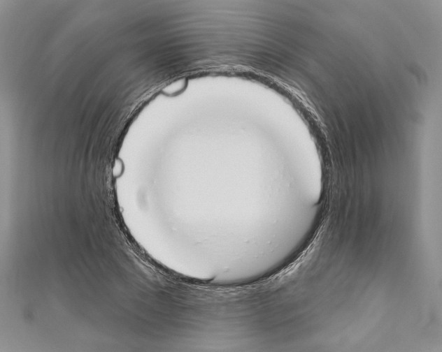 X0000110740881200907271059