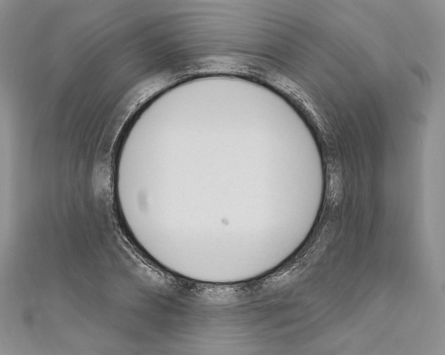 X0000110740882200907271059