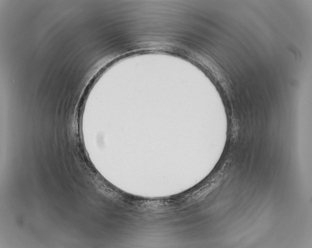 X0000110740883200907271059