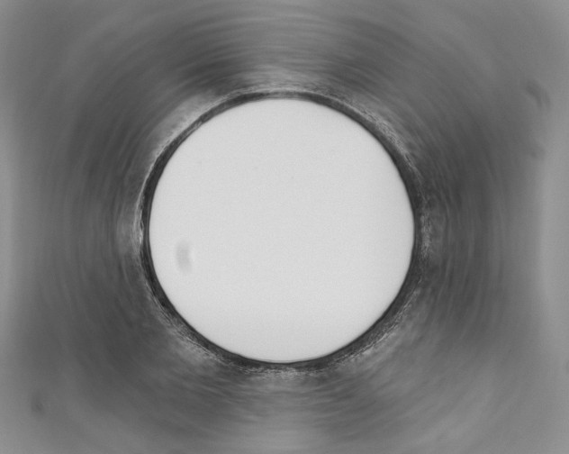 X0000110740885200907271059