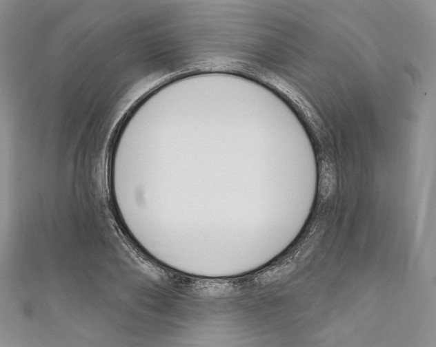 X0000110740886200907271059