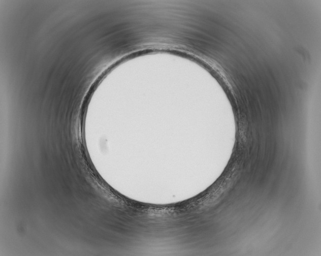 X0000110740887200907271059