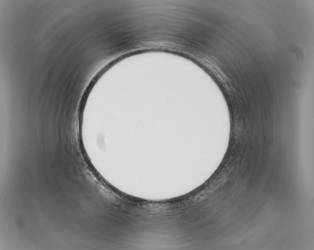 X0000110740888200907271059