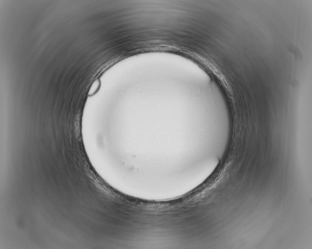 X0000110740889200907271059