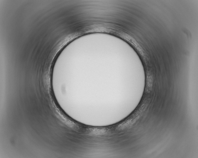 X0000110740890200907271059