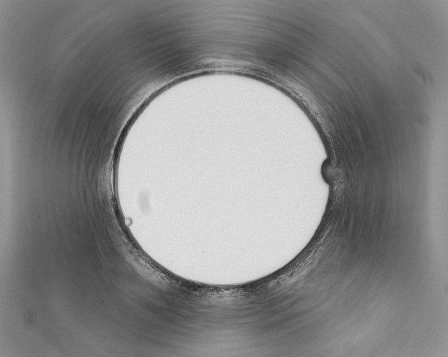 X0000110740891200907271059
