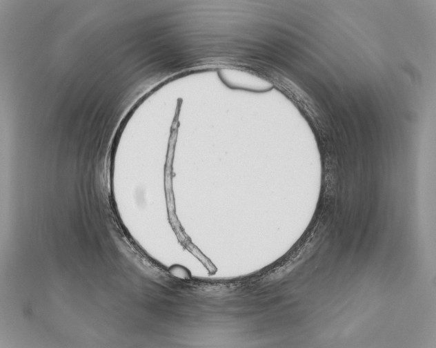 X0000110740892200907271059