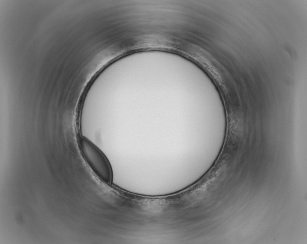 X0000110740893200907271059