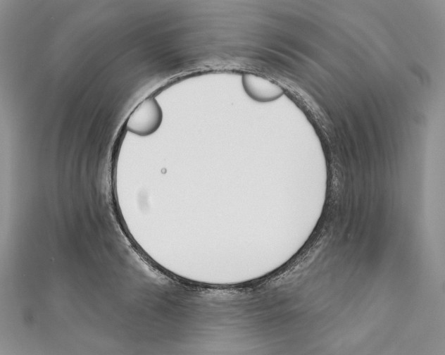 X0000110740894200907271059