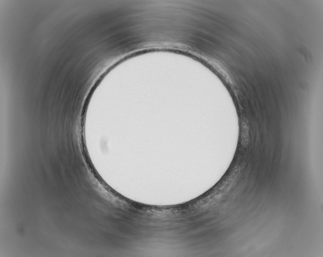 X0000110740895200907271059