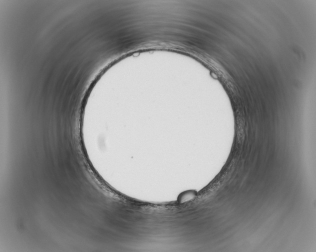 X0000110740896200907271059