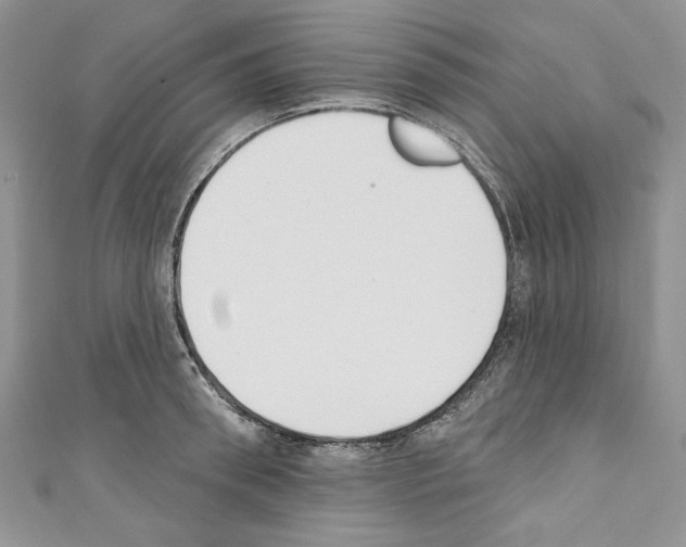 X0000110740898200907271059