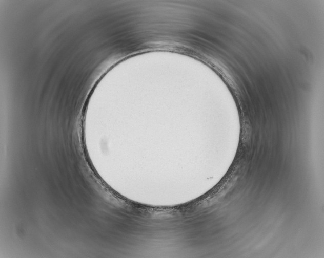 X0000110740899200907271059