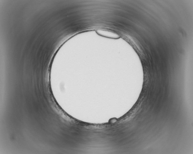 X0000110740900200907271059
