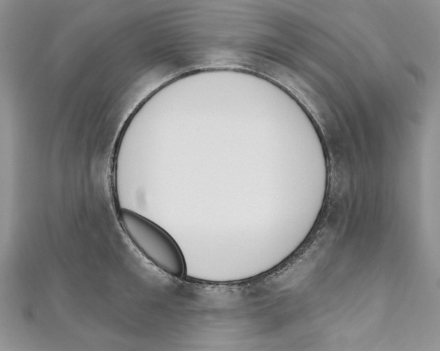 X0000110740901200907271059