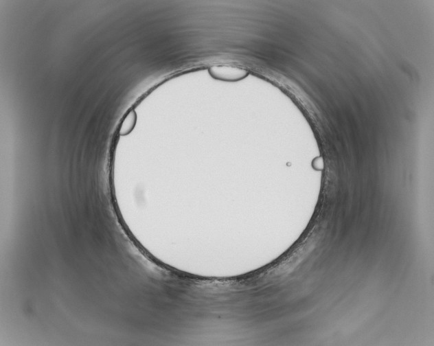 X0000110740902200907271059
