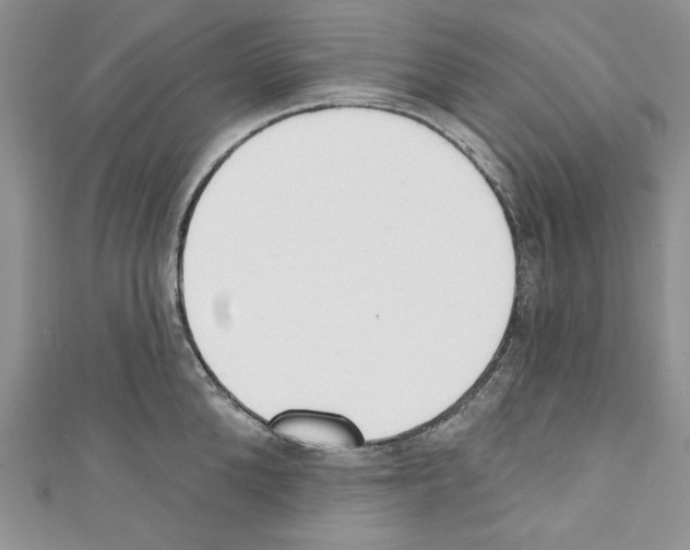X0000110740904200907271059