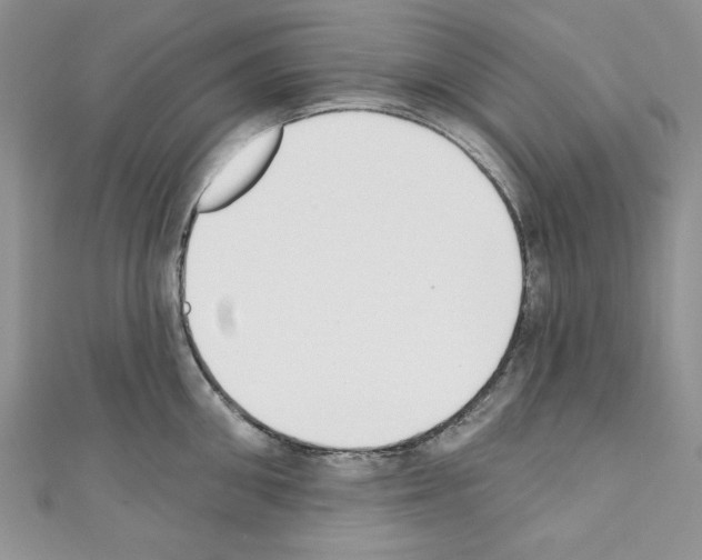 X0000110740906200907271059