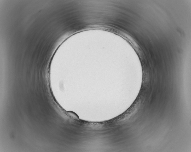 X0000110740907200907271059