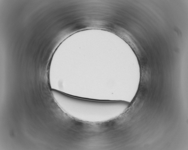 X0000110740908200907271059