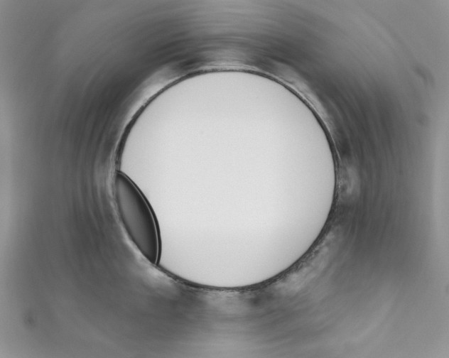 X0000110740909200907271059
