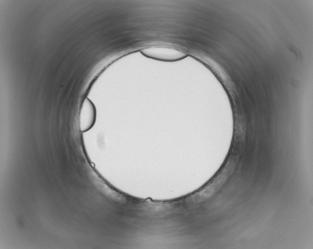 X0000110740910200907271059