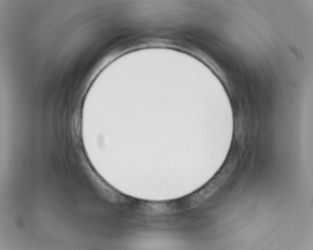 X0000110740911200907271059
