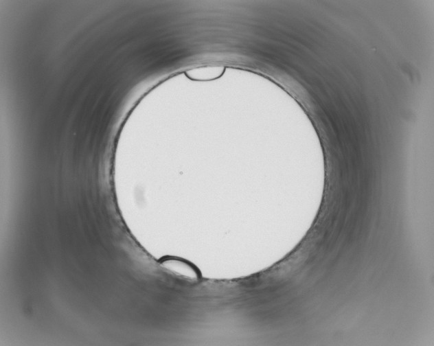 X0000110740912200907271059