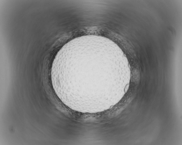 X0000110740913200907271058