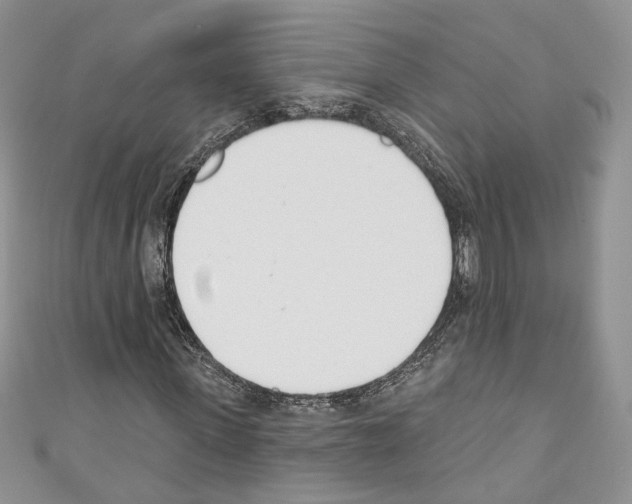 X0000110740915200907271058