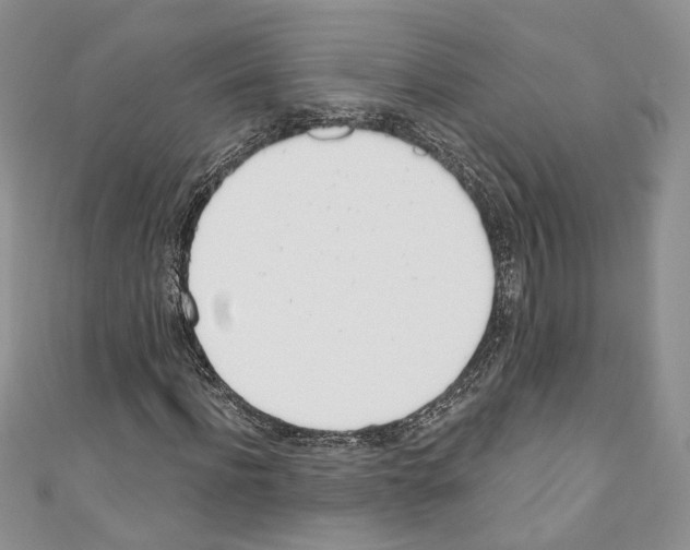 X0000110740916200907271058