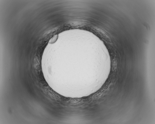 X0000110740917200907271058
